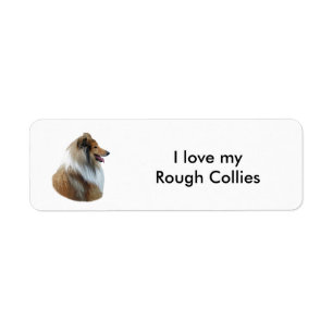 Rough Collie dog portrait photo Label