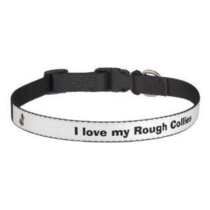 Rough Collie dog portrait photo Pet Collar