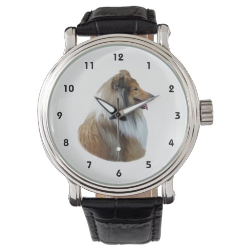 Rough Collie dog portrait photo Watch