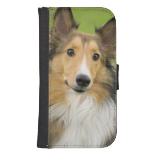 Rough Collie, dog Phone Wallet