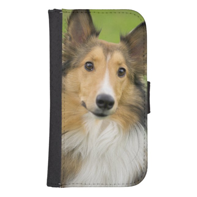 Rough Collie, dog Samsung Galaxy Wallet Case (Front)