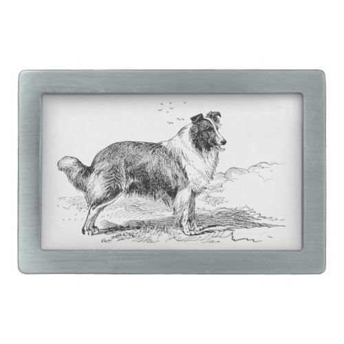 Rough Collie dog vintage illustration belt buckle