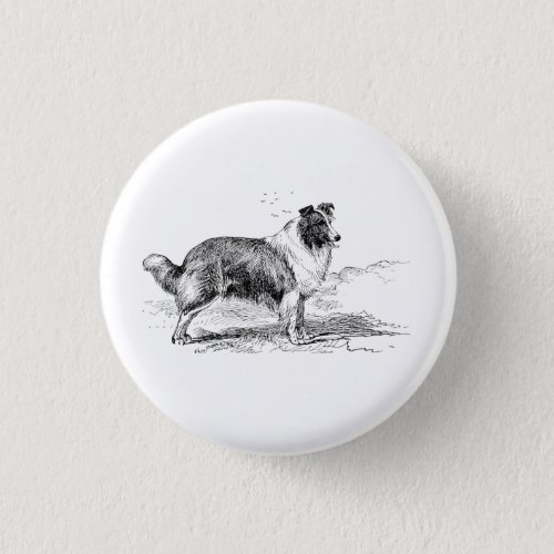 Rough Collie dog vintage line art illustration  Button