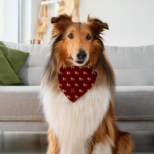 Rough Collie Dogs Pattern Monogrammed Pet Bandana Collar
