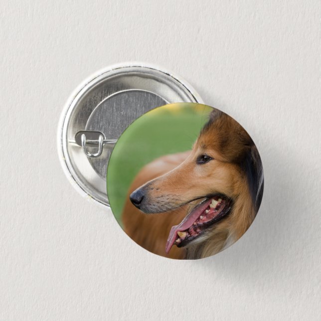 Rough Collie Face Button (Front & Back)