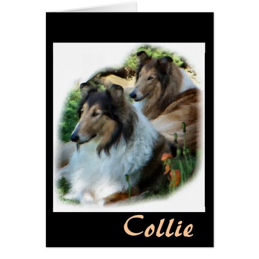 Rough Collie Gift of Art Cards (Front)