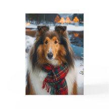Rough Collie Holiday
