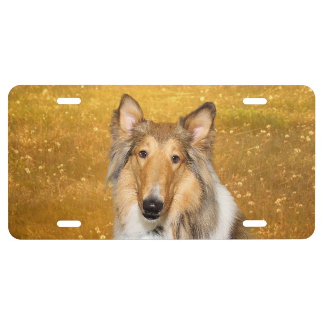 Rough Collie License Plate (Front)