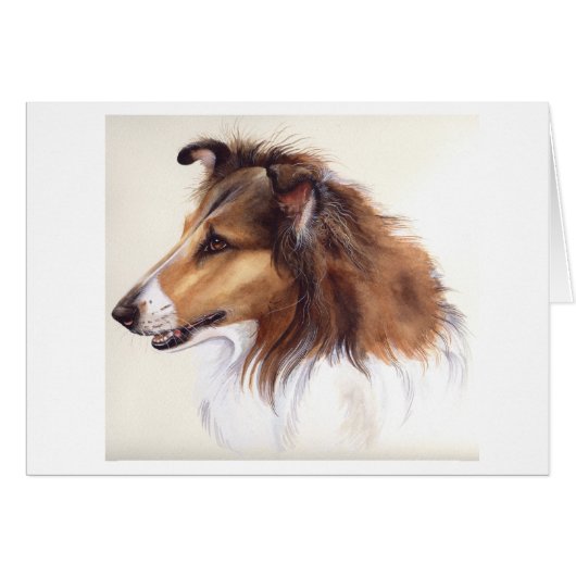 Rough Collie Painted in Watercolour (Front Horizontal)