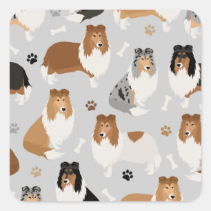 Rough Collie Paws and Bones Square Sticker