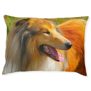 Rough Collie. Pet Bed