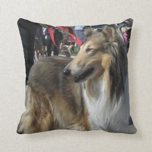 rough collie pillow