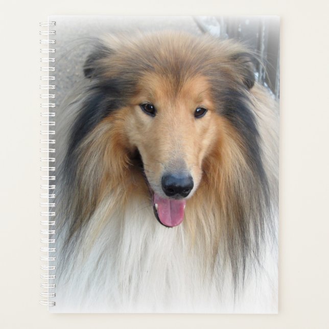 Rough Collie Portrait Planner (Front)