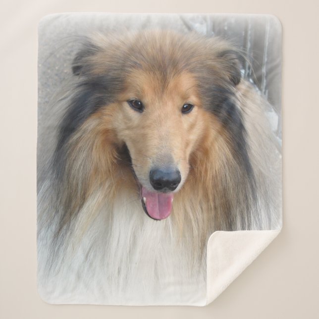 Rough Collie portrait Sherpa Blanket (Front)