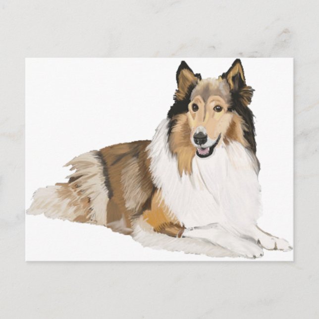 Rough Collie Postcard (Front)
