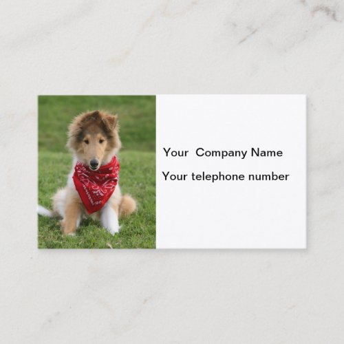 Rough collie puppy dog cute photo business card