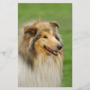 Rough Collie Stationery