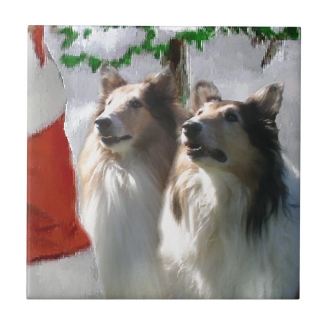 Rough Collies Meet Santa   Christmas Tile (Front)