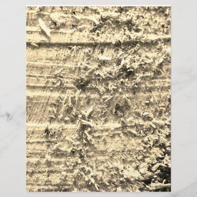 Rough Cut Paper (Front)