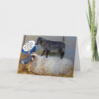 Rough Day for Ewe Card