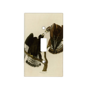Rough-legged Falcon - Audubon's Birds of America Light Switch Cover