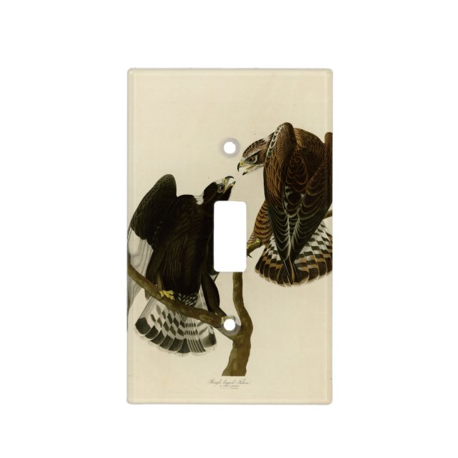 Rough-legged Falcon - Audubon's Birds of America Light Switch Cover (Front)
