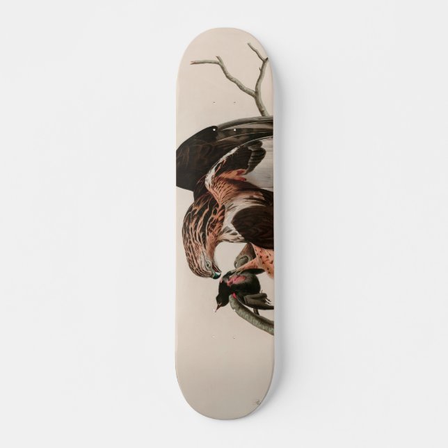 Rough-legged Falcon Birds of America Audubon Print Skateboard (Front)