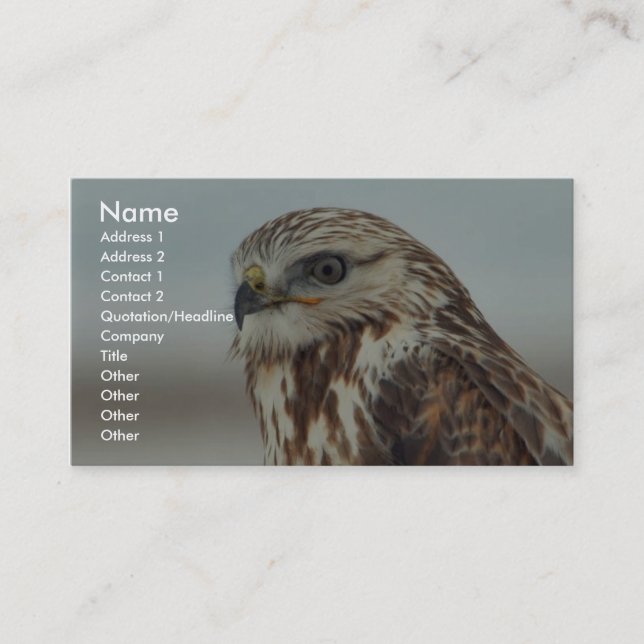 Rough-legged Hawk Business Card (Front)