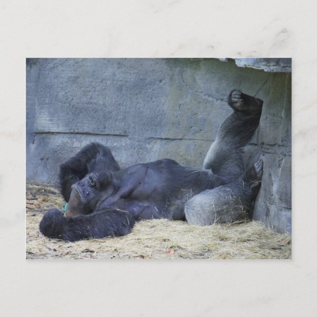 Rough Life Postcard (Front)