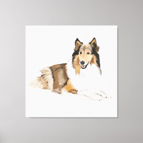 Rough, Long Haired Collie Canvas Print