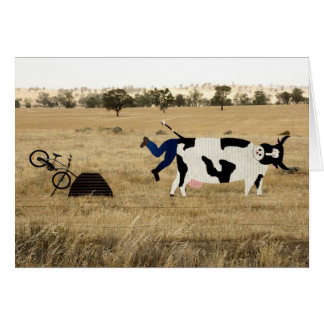 Rough Riding Cards