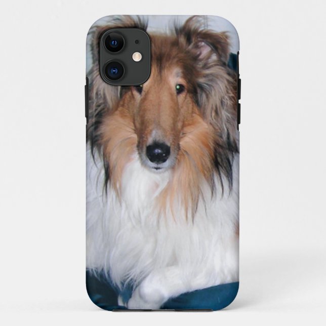 Rough Sable Collie iPhone 5 Case (Back)