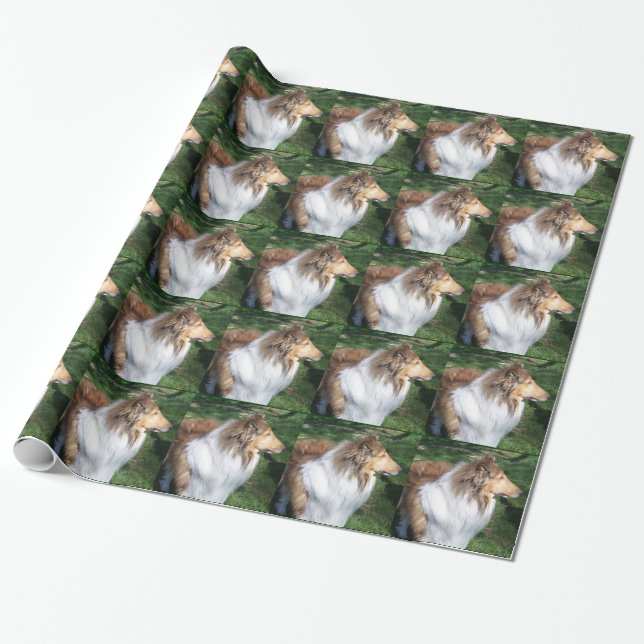 Rough Sable Collie Wrapping Paper (Unrolled)