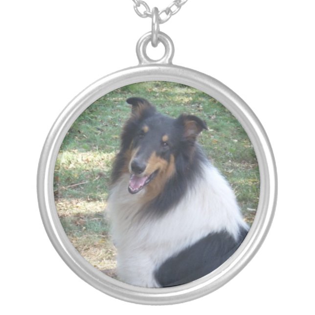 Rough Tri Collie Silver Plated Necklace (Front)