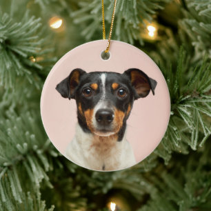 Round ceramic pet memorial hanging disc ornament