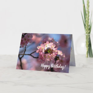 Round Cluster Of Sakura Flowers In Bloom Card