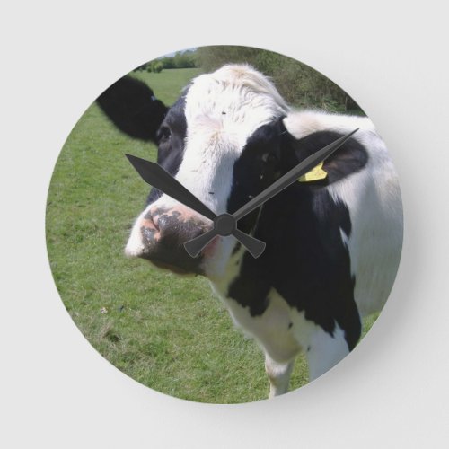 Round cow clock