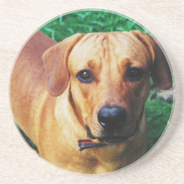 Round Custom Personalized Photo Coaster (Front)