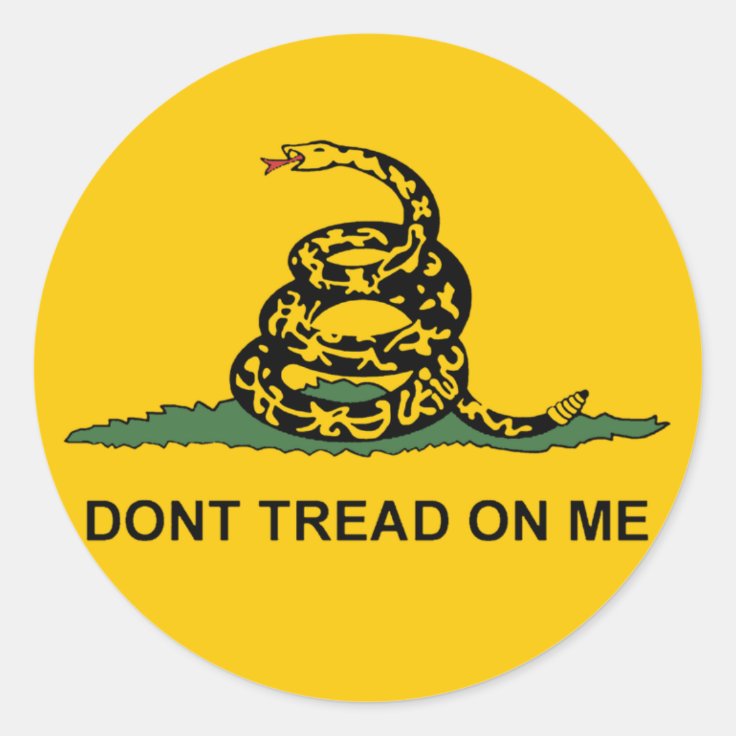 Bandiera Florida Bandiera Gadsden Tea Party 3x5 Piedi "Don't Tread On Me" Con Serpente A Sonagli, In Poliestere 100%, Stampata A Colori Vivaci Bandiera Forza Nuova - Foto 5