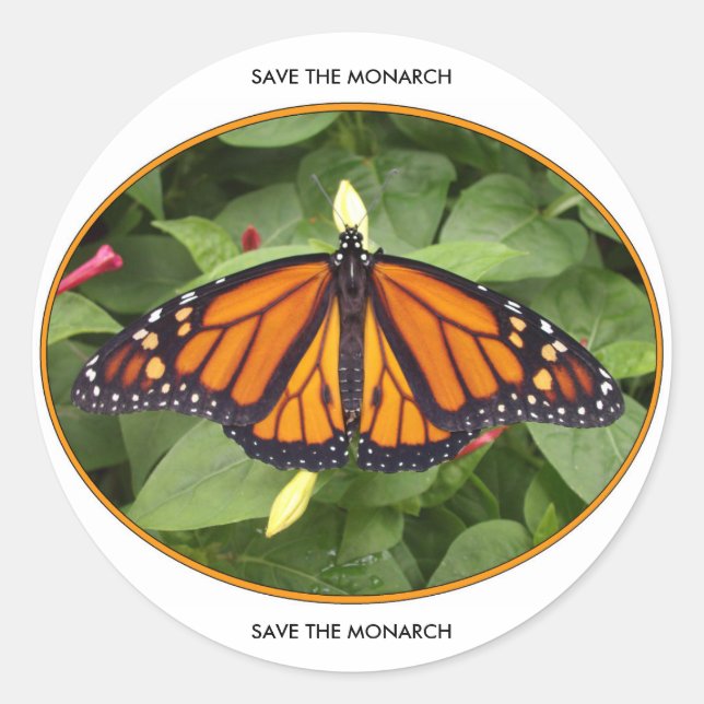Round Glossy Stickers,Monarch Style #4a Classic Round Sticker (Front)
