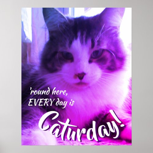 Round Here Every Day is Caturday Cute Purple Cat Poster