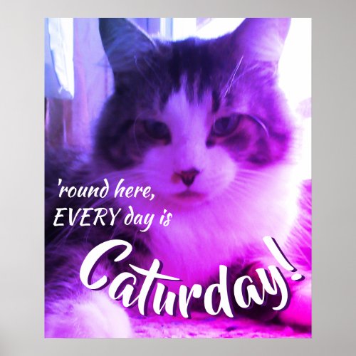 Round Here Every Day is Caturday Cute Purple Cat Poster