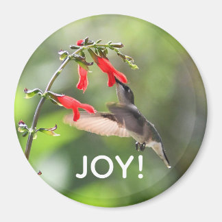 Round Hummingbird Magnet