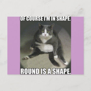 Round is a Shape Postcard
