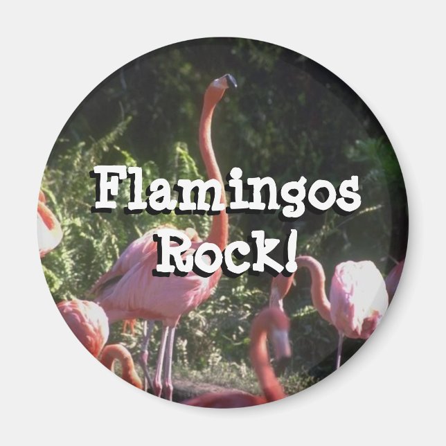 Round Magnet (Front)