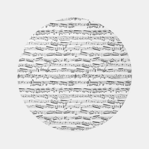 Round Music Rug _ Black and White Musical Notes