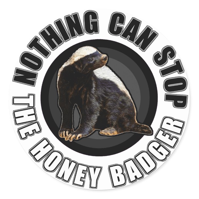 Round Nothing Can STOP the Honey Badger Design Round Stickers