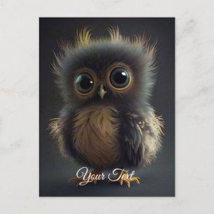 Round Owlet.  Postcard