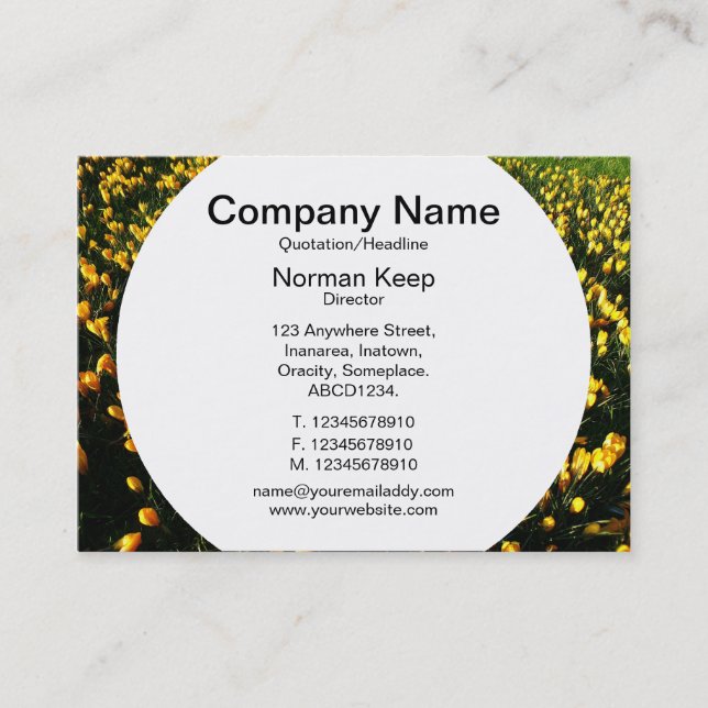 Round Panel - Crocuses Business Card (Front)