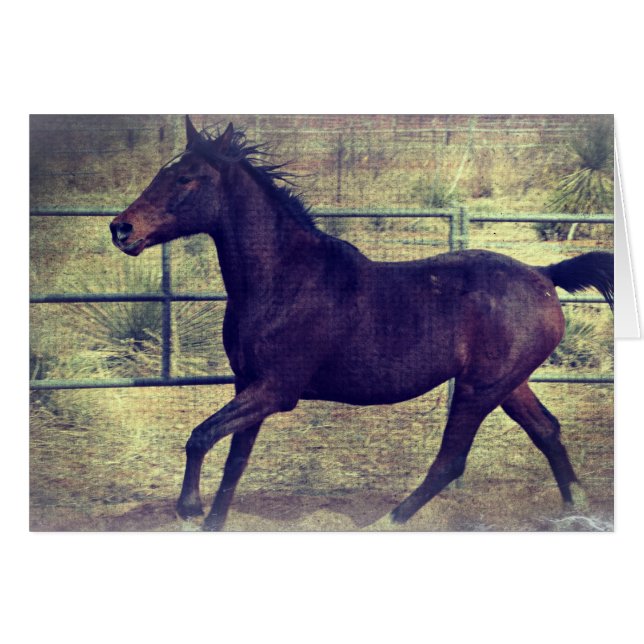 Round Pen Horse Cards (Front Horizontal)